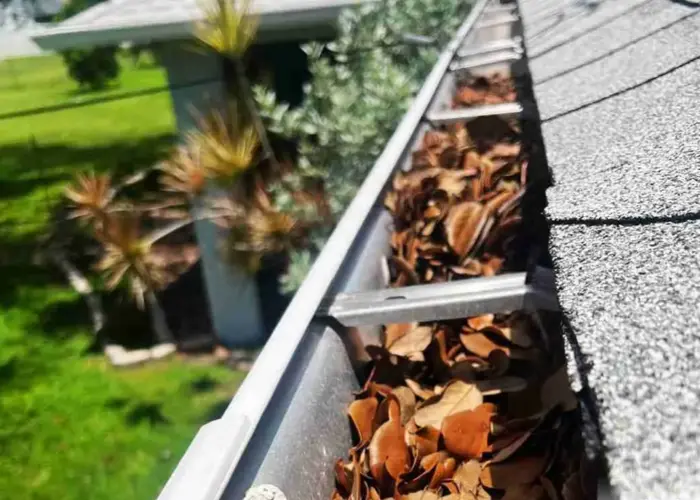 Pearland gutter cleaning home page
